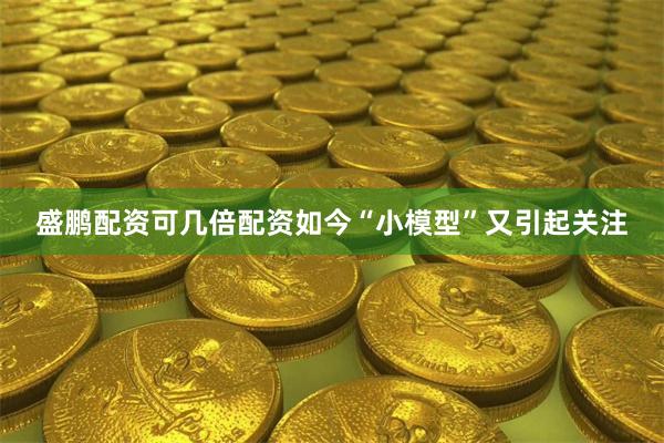 盛鹏配资可几倍配资如今“小模型”又引起关注