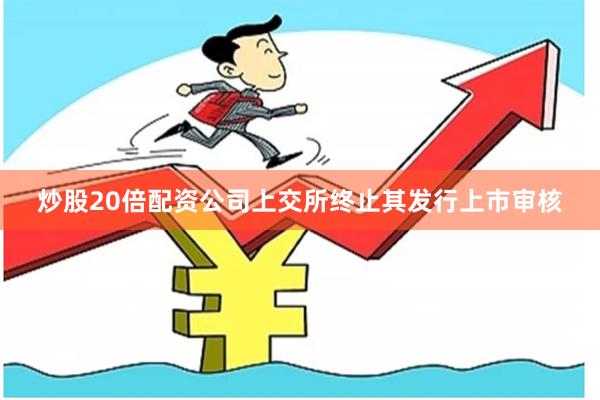 炒股20倍配资公司上交所终止其发行上市审核