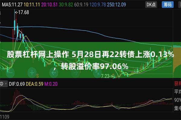 股票杠杆网上操作 5月28日再22转债上涨0.13%，转股溢价率97.06%