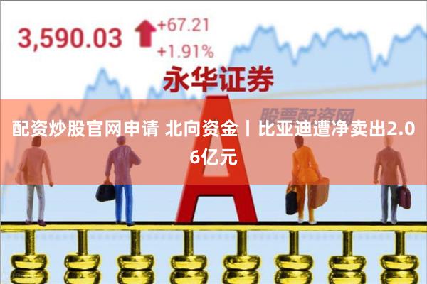 配资炒股官网申请 北向资金丨比亚迪遭净卖出2.06亿元