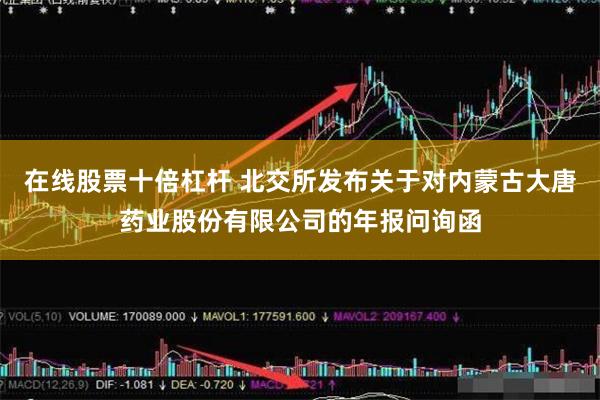 在线股票十倍杠杆 北交所发布关于对内蒙古大唐药业股份有限公司的年报问询函