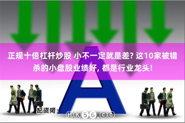 正规十倍杠杆炒股 小不一定就是差? 这10家被错杀的小盘股业绩好, 都是行业龙头!